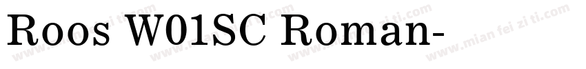 Roos W01SC Roman字体转换